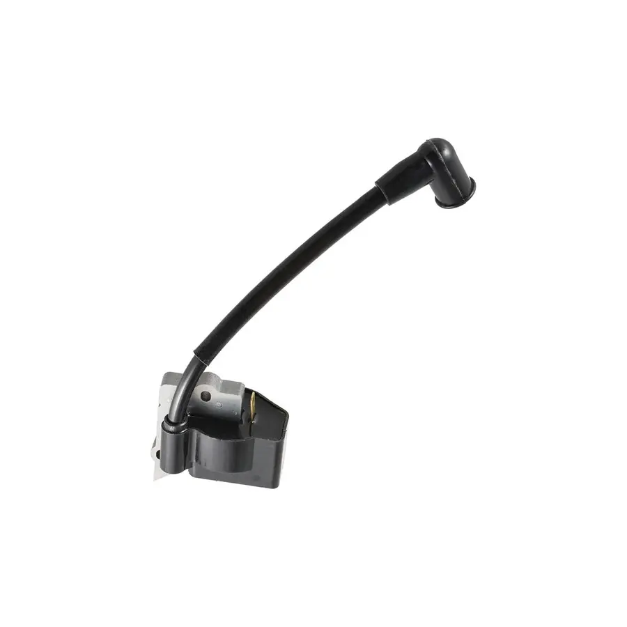 Ignition Coil 545024901 (3).jpg